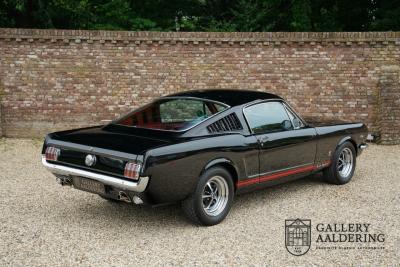 1966 Ford Mustang Fastback