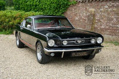 1966 Ford Mustang Fastback