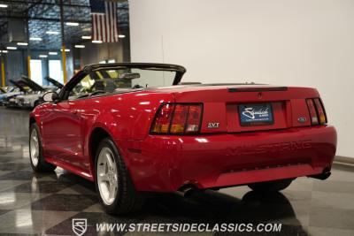 1999 Ford Mustang SVT Cobra Convertible