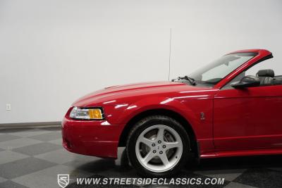 1999 Ford Mustang SVT Cobra Convertible