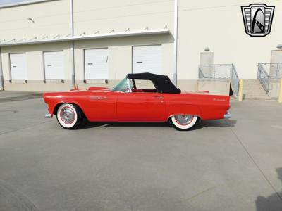 1955 Ford Thunderbird