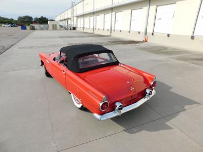 1955 Ford Thunderbird