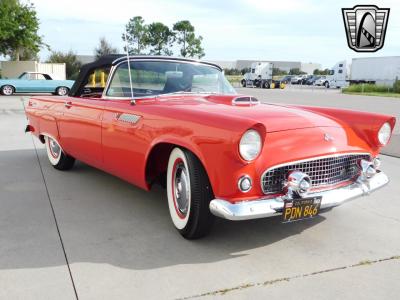 1955 Ford Thunderbird