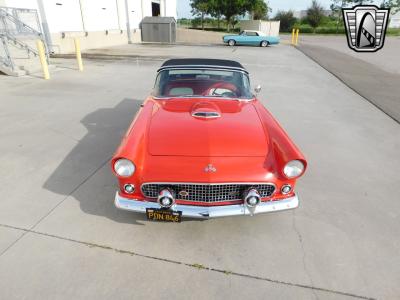 1955 Ford Thunderbird