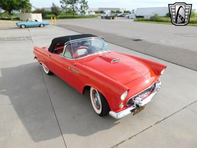 1955 Ford Thunderbird