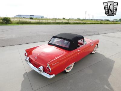 1955 Ford Thunderbird