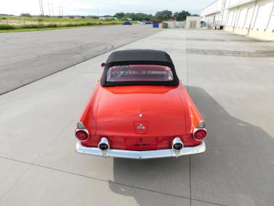 1955 Ford Thunderbird