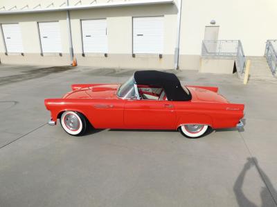 1955 Ford Thunderbird