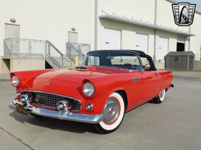 1955 Ford Thunderbird