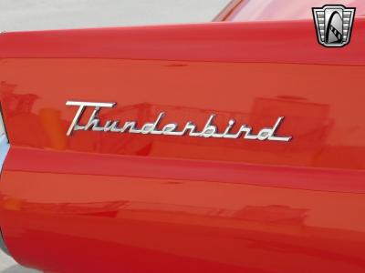 1955 Ford Thunderbird