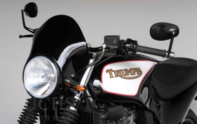 1996 Triumph T 300 Cafe Racer