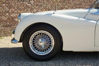 1957 Triumph TR3 A