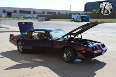 1980 Pontiac Firebird