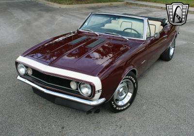 1967 Chevrolet Camaro