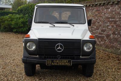 1980 Mercedes - Benz 240 GD &ldquo;Civilian&rdquo;