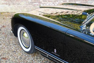 1953 Nash Healey Roadster