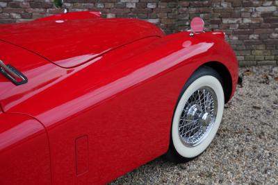 1954 Jaguar XK120 Roadster