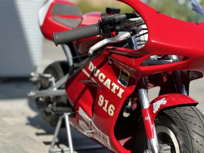 Ducati c.Minimoto 916 Replica 49cc*