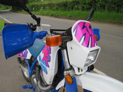 Suzuki DR350S