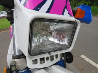 Suzuki DR350S