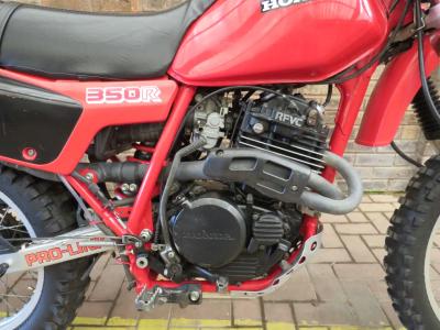 Honda XL350R