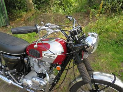 Triumph TR6P TROPHY