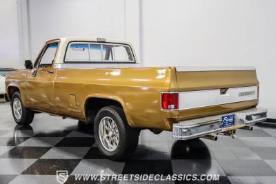 1979 Chevrolet C10 Silverado