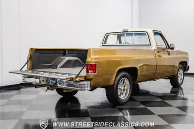 1979 Chevrolet C10 Silverado