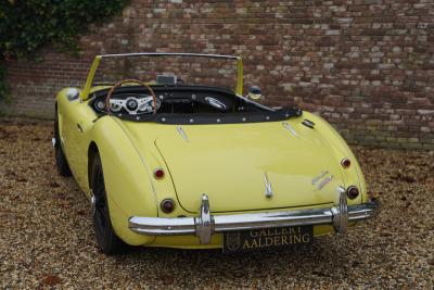 1960 Austin - Healey 3000 MK1 BT7