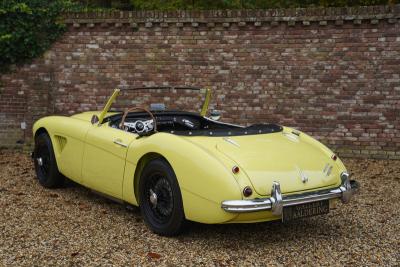 1960 Austin - Healey 3000 MK1 BT7