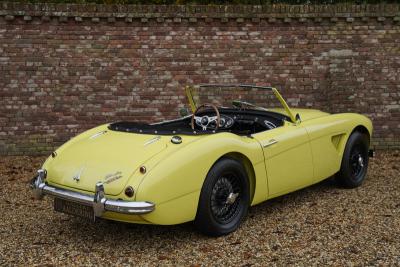 1960 Austin - Healey 3000 MK1 BT7