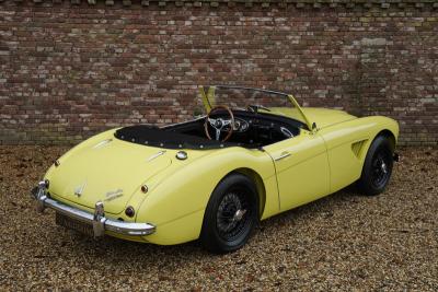 1960 Austin - Healey 3000 MK1 BT7