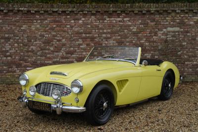 1960 Austin - Healey 3000 MK1 BT7