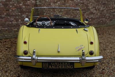 1960 Austin - Healey 3000 MK1 BT7