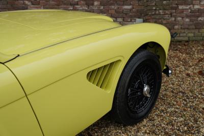 1960 Austin - Healey 3000 MK1 BT7