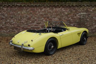 1960 Austin - Healey 3000 MK1 BT7