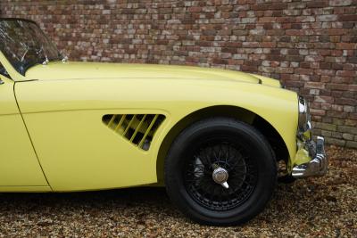 1960 Austin - Healey 3000 MK1 BT7