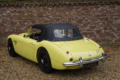 1960 Austin - Healey 3000 MK1 BT7