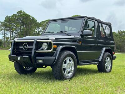 1991 Mercedes - Benz G300