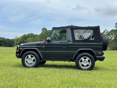 1991 Mercedes - Benz G300