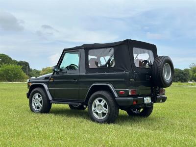 1991 Mercedes - Benz G300