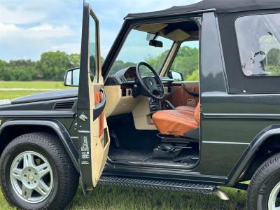 1991 Mercedes - Benz G300