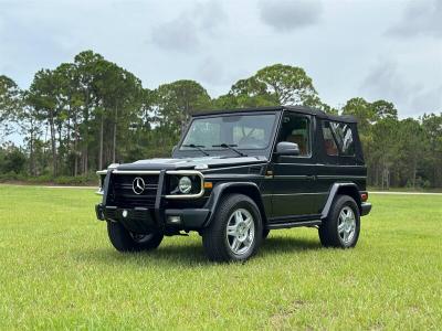 1991 Mercedes - Benz G300