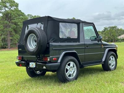 1991 Mercedes - Benz G300