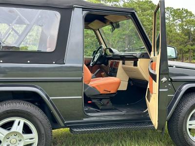 1991 Mercedes - Benz G300