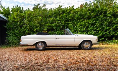 1967 Mercedes - Benz 250SE Cabriolet