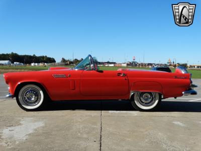 1956 Ford Thunderbird