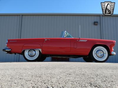 1956 Ford Thunderbird