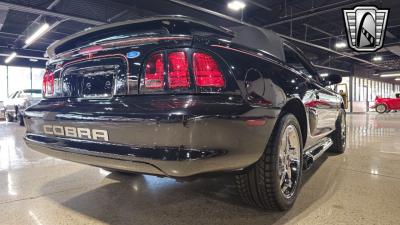 1996 Ford Mustang SVT Cobra