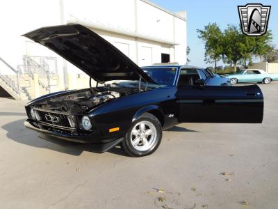 1973 Ford Mustang